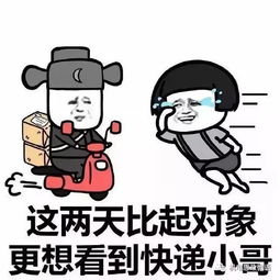 春风十里不如你,双十一快乐赋予你