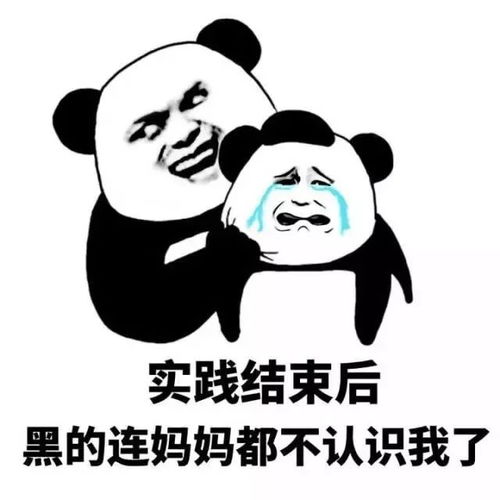 影像白山山东大爷和热血小黑炭