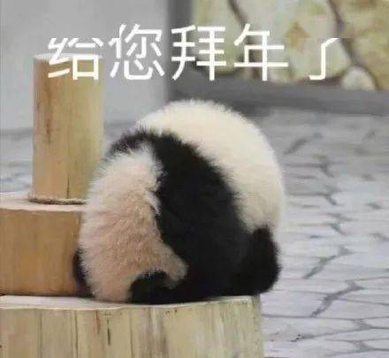 昨天,我们和校长一起吃年夜饭