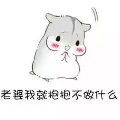仓鼠表情包老婆说的都对