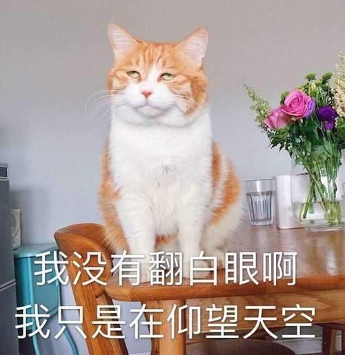 有人讨厌公司的团建活动吗
