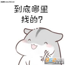 仓鼠找男朋友表情包下载乐游网游戏下载
