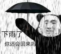 下雨了送你回家表情包表情包