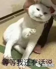 2019最强大片今日全国上映上班了数亿人倾情出演