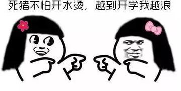 开学了娃儿嗨得很,家长直呼终于解放了