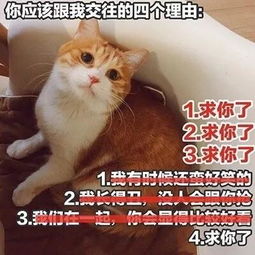表情包,直男怎么哄女生,土味套路情话你想知道么