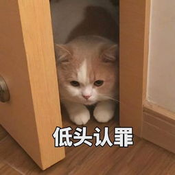 十条笑话喂,你在学校里打过架么