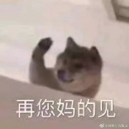 表情包有对象和没对象有道理