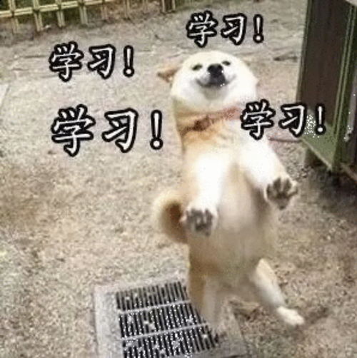 c语言知识入门概述2纯干货笔记