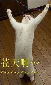mtime时光网