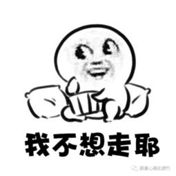 旅行者的第四乐章新西兰北岛part1