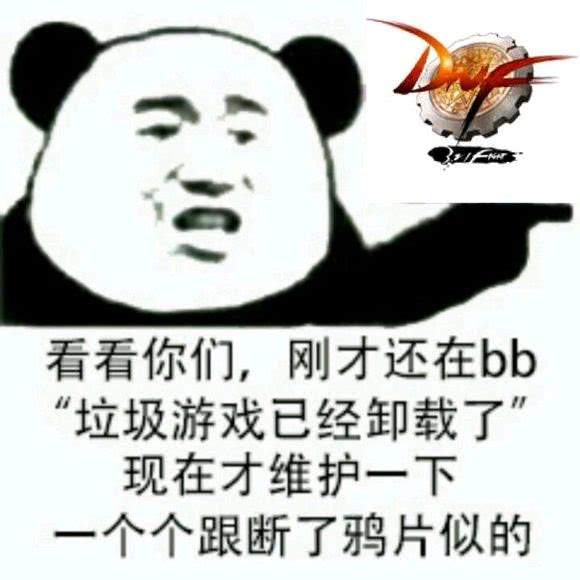 dnf外挂一时爽,一直外挂一直爽制裁也爽