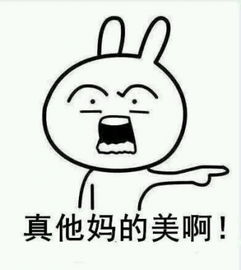 妈我要娶她表情包下载飞翔下载