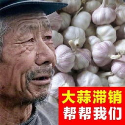 生意兴隆表情包生意兴隆微信表情包生意兴隆qq表情包发表情fabiaoqing.com