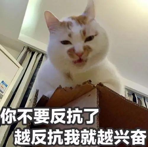 如果被一个肌肉女爱上了怎么办