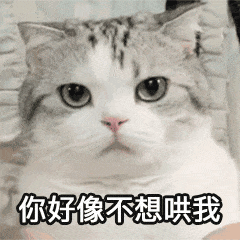 表情包你好像不想哄我