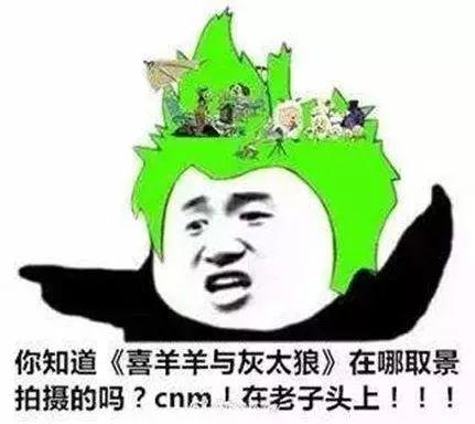 李小璐出轨了吗贾乃亮说出了就出了,他说没出那就是没出