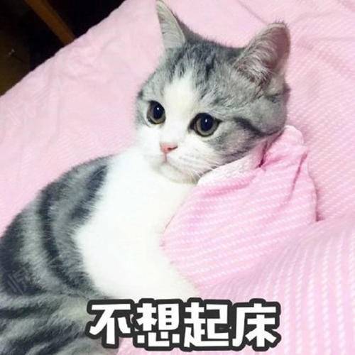 嗨嗨嗨...面部填充悦美整形