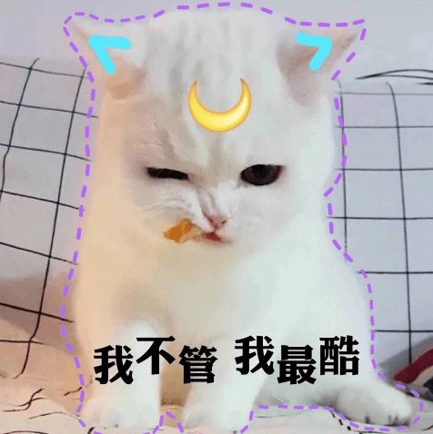 我小猫咪只负责萌,你只负责宠第86期喵表情