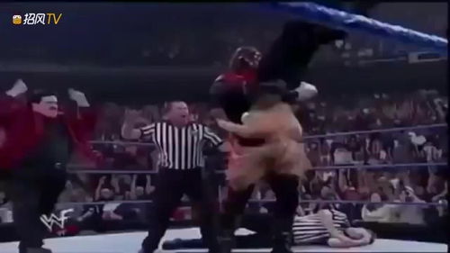 wwe职业摔跤手的omg时刻