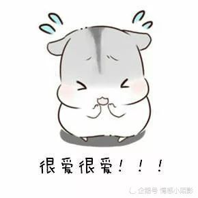 仓鼠表情包我爱老公