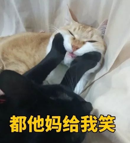 昨天晚上,我的头笑掉了