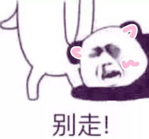 真人抱抱表情包图片我要