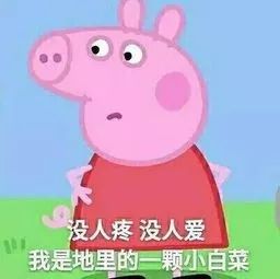 双11新衣到,旧衣也别扔喂进小区衣点爱心回收箱捐赠吧