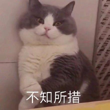 千万不能让老板知道自增id用完了重要的事情说一遍