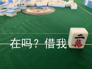 生活有多南打个麻将都能打出一套表情包