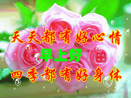 大家早上好我爱你