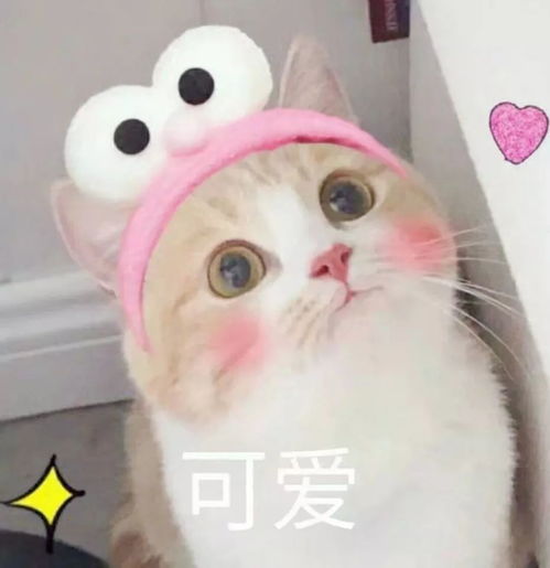夏天头发总是油腻腻的怎么办教你去除头发油腻的六个小妙招