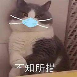 hr你不是留学生吗,怎么连英文都说不好