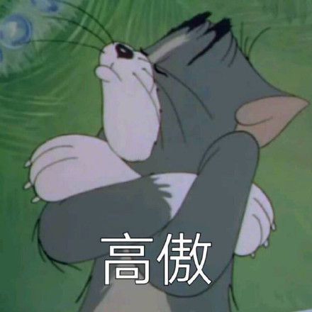 个性高傲的星座,不管对方多优秀多卑微,不喜欢就是不喜欢