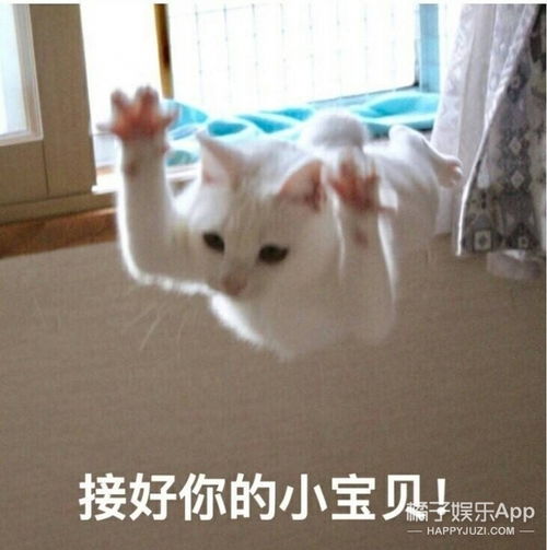流星花园公主小妹...聊聊那些年你追过的台剧吧