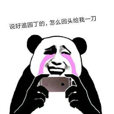 萌萌哒猫咪柔弱表情,还在为你的钢铁形象买单吗,改变时刻到了