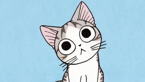 那些动漫中的小宠物,小可猫老师和玉犬,你最喜欢哪一个