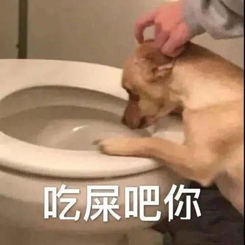 沙雕搞笑表情包不要试图和我讲道理,我就是道理