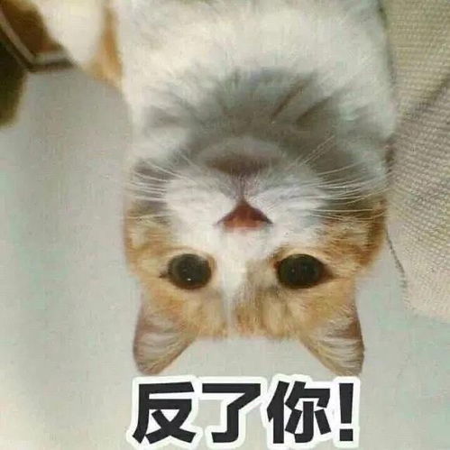 有没有姐妹碰到过闲鱼发布审核的情况