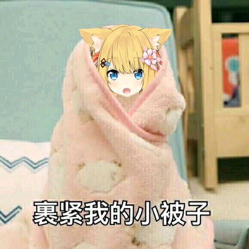 花园猫表情包第一期