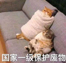 什么样的女生一看就知道没谈过恋爱