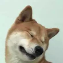 钟楚曦坐过山车惊现神级表情管理,瘦成纸片人却不上镜的乔欣哭了