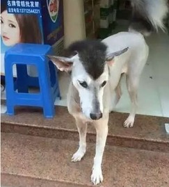 弟弟,快吃吧,姐尝了,没毒搜狐