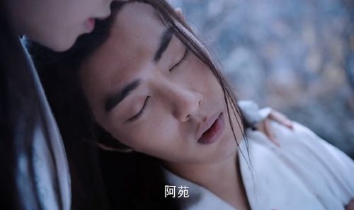 陈情令两只草编蝴蝶隔着两人的记忆重逢,温宁和阿苑终于相认了