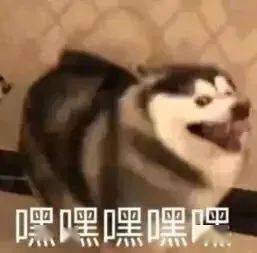 你不对劲考雅思连母校英文名都说错这也太丢脸了吧....