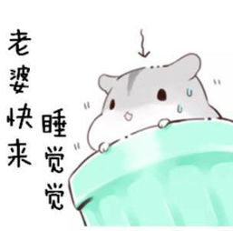 哄女朋友专用超有爱的表情包,老婆你想吃啥我都买