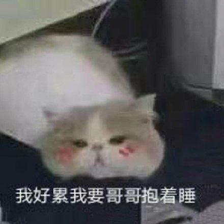 沙雕朋友圈文案开心的事情要专心记起