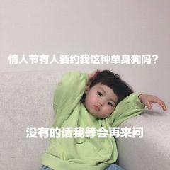 适合单身狗情人节专用表情包尽管秀恩爱,明年还是这个人算我输