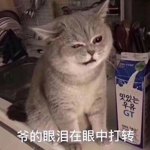 委屈的表情包无文字受过
