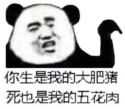 熊猫头表情包i年轻人不知天高地厚